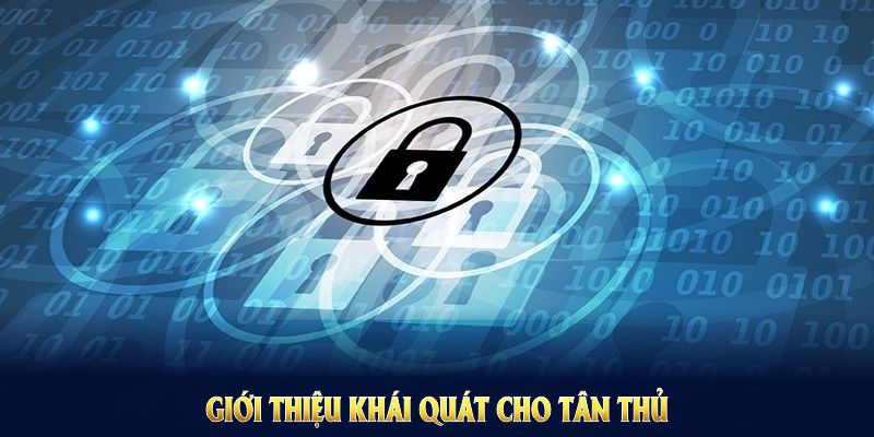 Giới thiệu quát cho tân thủ về Chính sách bảo mật cổng game GO88